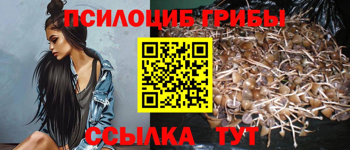 Галлюциногенные грибы Cubensis Саки